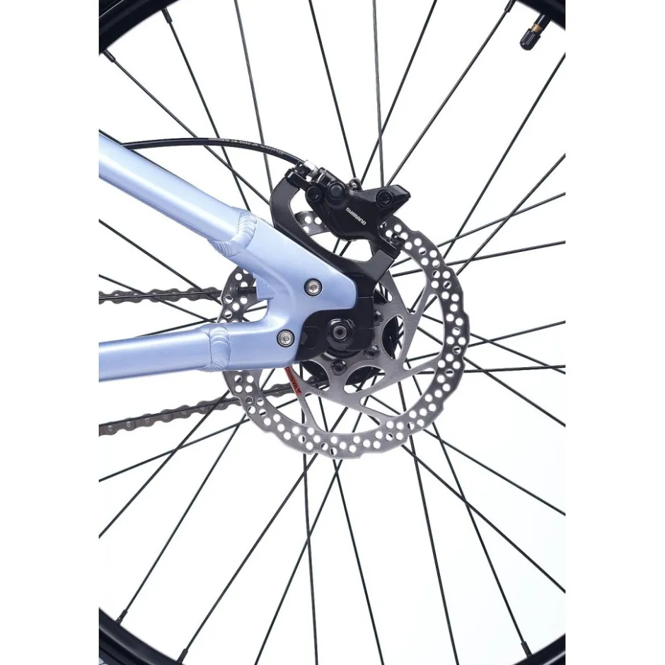 Kindermountainbikes < Academy PUMP 4 - 20" Kinderfiets - 2026 - frost