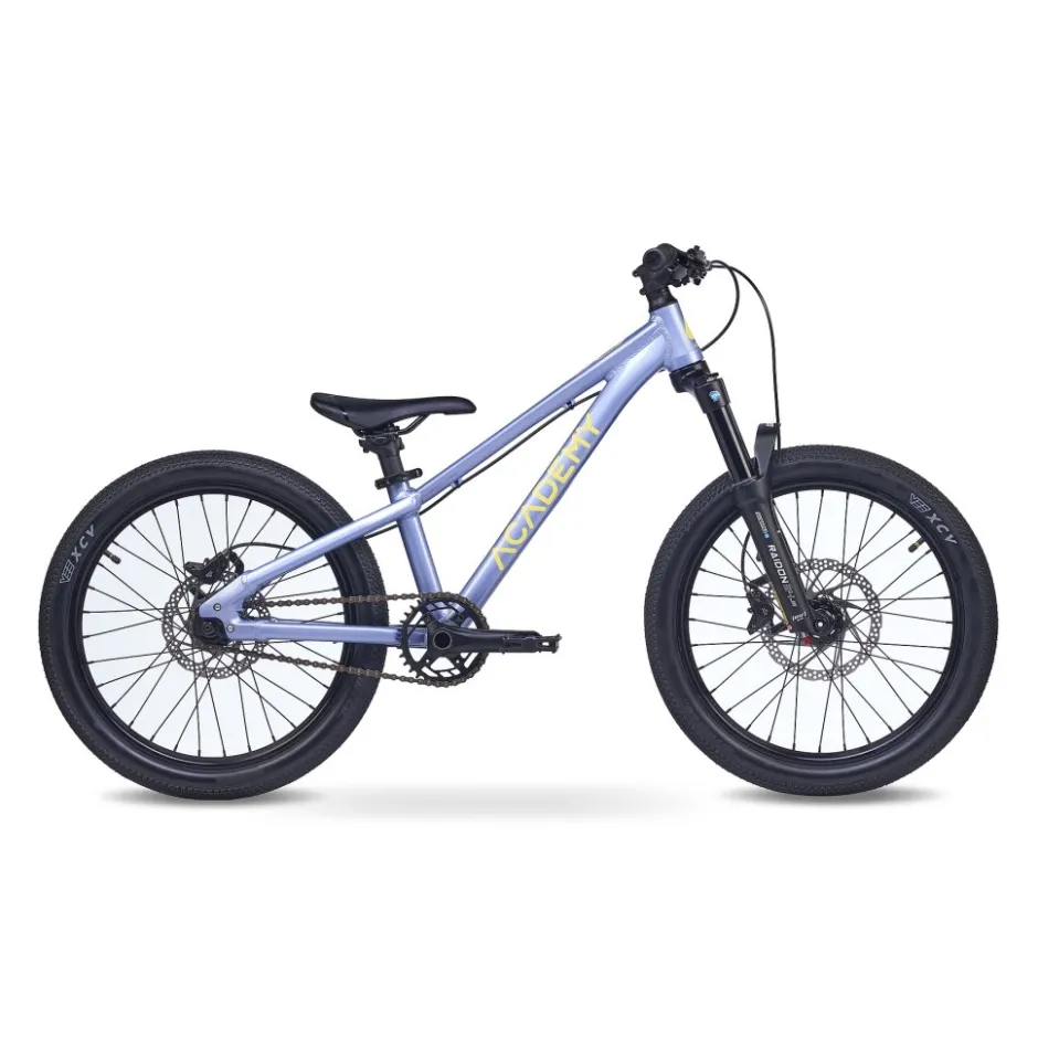Kindermountainbikes < Academy PUMP 4 - 20" Kinderfiets - 2026 - frost