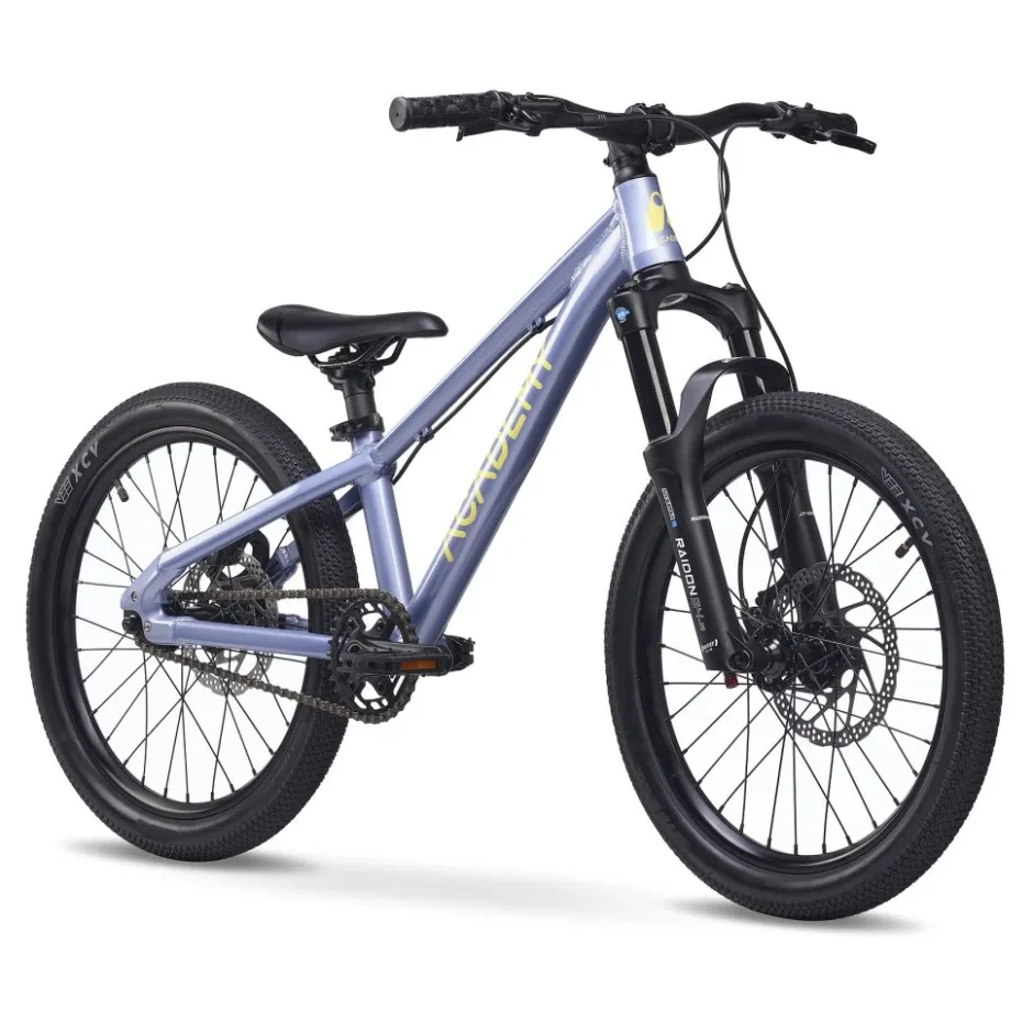 Kindermountainbikes < Academy PUMP 4 - 20" Kinderfiets - 2026 - frost
