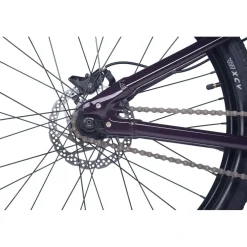 Academy PUMP 4 - 20" Kinderfiets - 2026 - plum
