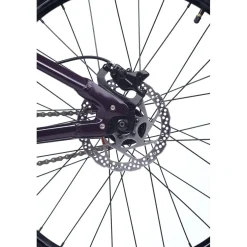 Academy PUMP 4 - 20" Kinderfiets - 2026 - plum