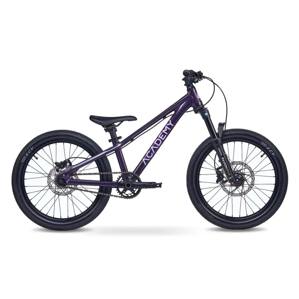 Academy PUMP 4 - 20" Kinderfiets - 2026 - plum
