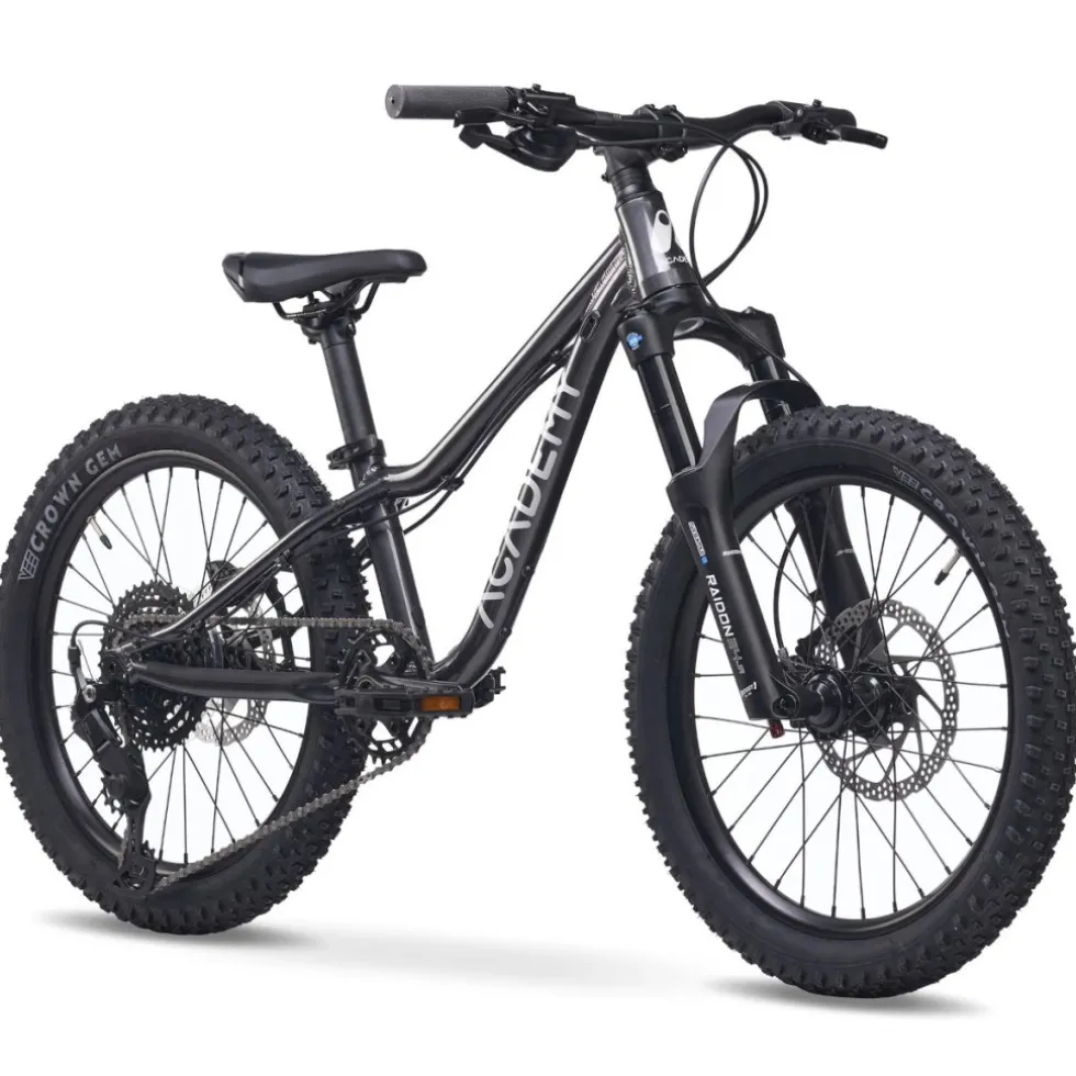Academy Trail 4 - 20" Kinder MTB - 2026 - space