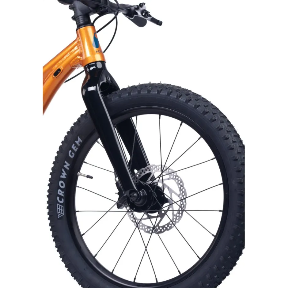 Kindermountainbikes < Academy Trail 4 R - 20" Kinder MTB - 2026 - barnsteen