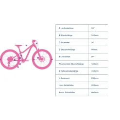 Kindermountainbikes < Academy Trail 4 R - 20" Kinder MTB - 2026 - barnsteen