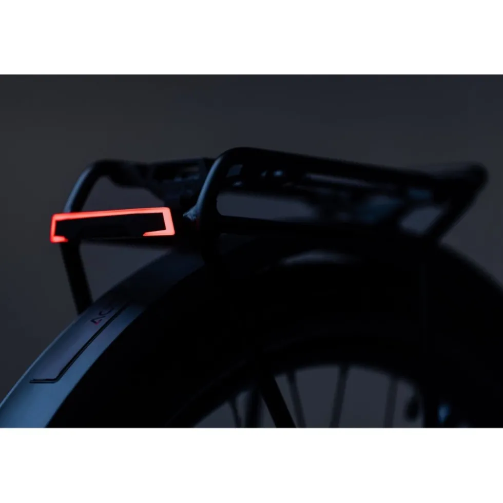 ACID E-Bike PRO-E HPP BES2 Fietslamp Achteraan - Zwart