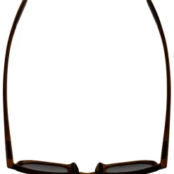 Alpina Dimont Brillen - brown transparent matt/brown