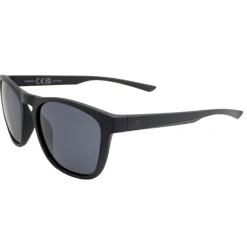 Alpine & Skibrillen < Alpina Gleam Bril - black matt/black