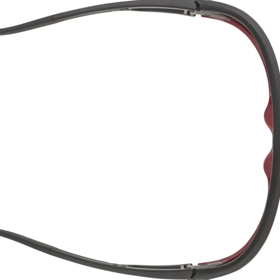 Alpina Legend Bril - black-red matt/black