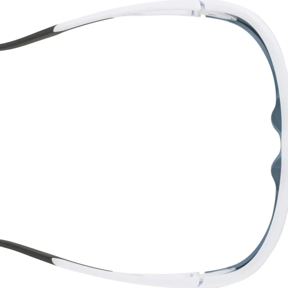Alpine & Skibrillen < Alpina Legend Bril - white matt/mirror blue