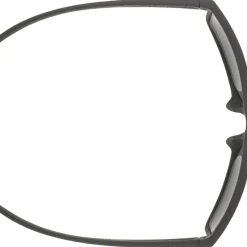 Alpine & Skibrillen < Alpina Nacan I POL Bril - black matt/mirror blue