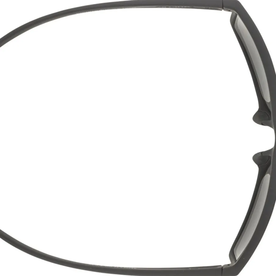 Alpine & Skibrillen < Alpina Nacan I POL Bril - black matt/mirror blue