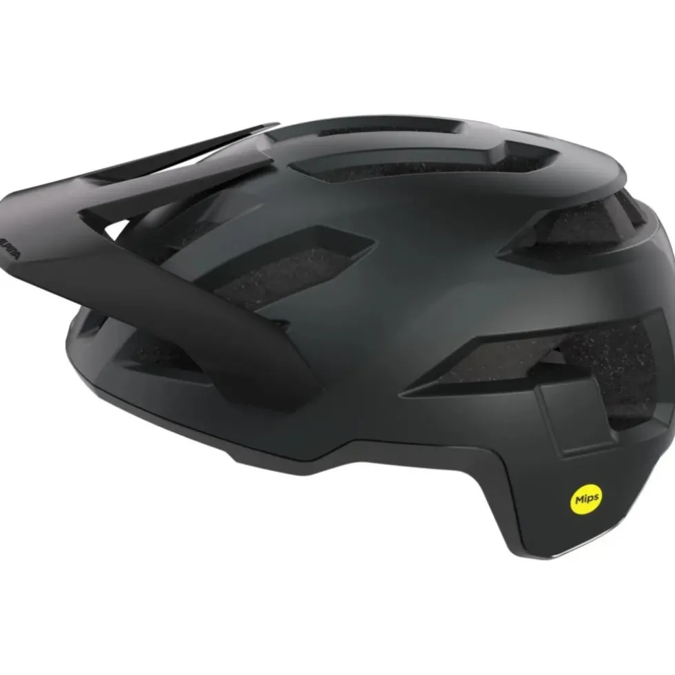 Alpina Casco Bici - Taunus MIPS - black matt
