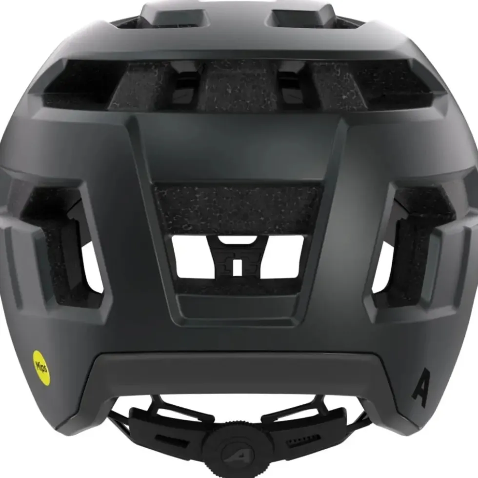 Alpina Casco Bici - Taunus MIPS - black matt