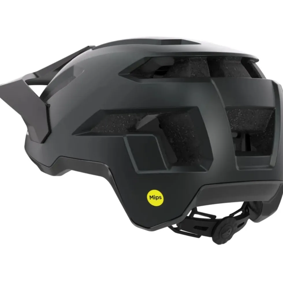 Alpina Casco Bici - Taunus MIPS - black matt