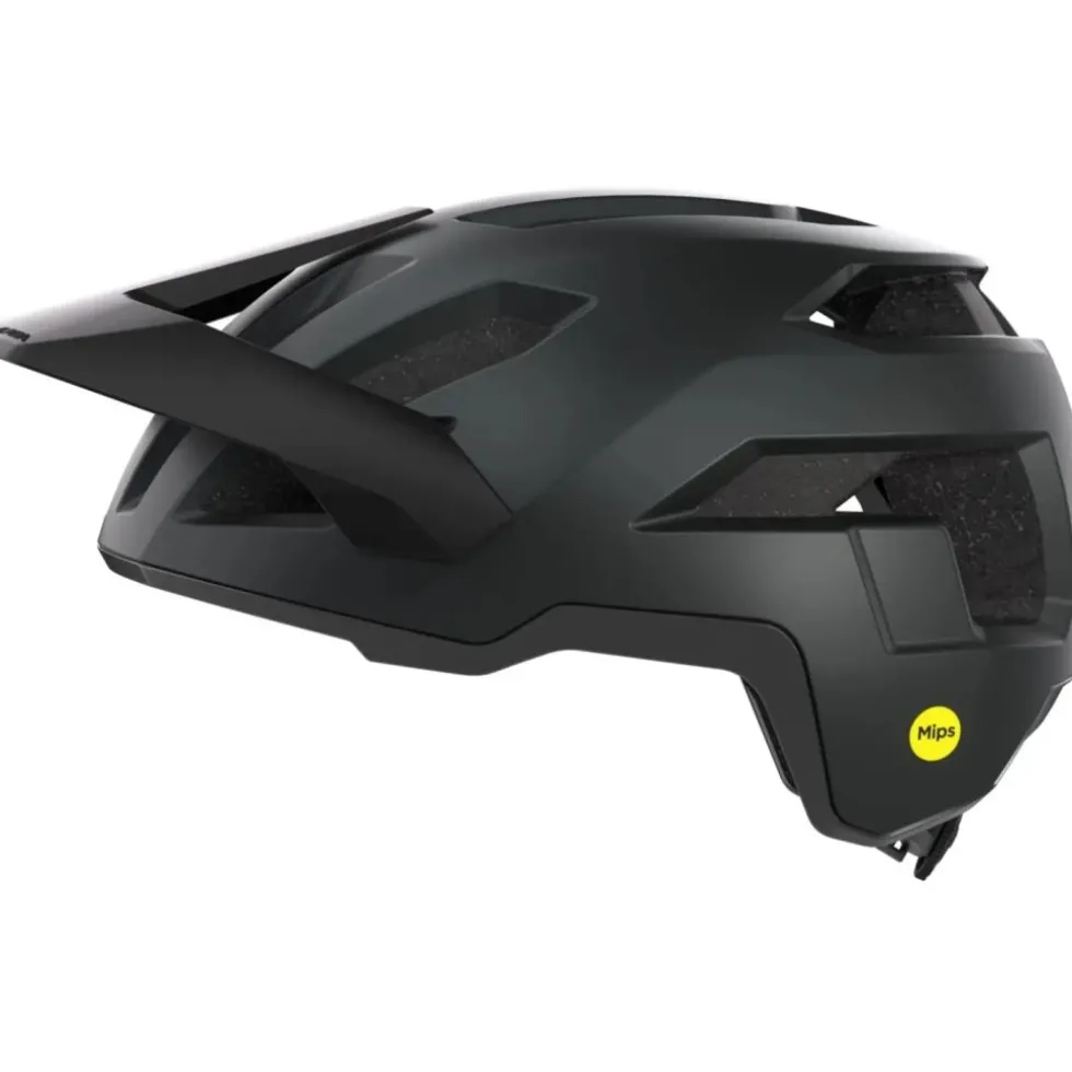 Alpina Casco Bici - Taunus MIPS - black matt