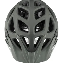 Alpina Mythos 3.0 L.E. Helm - coffee-grey matt 91