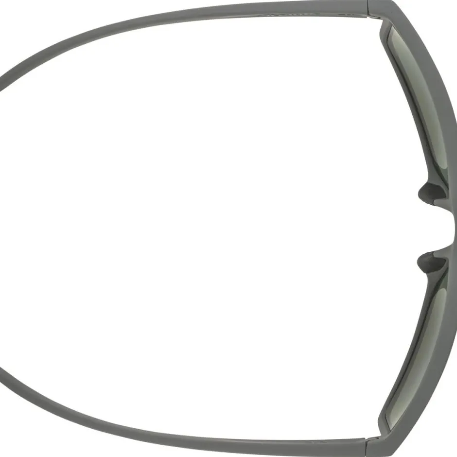 Alpine & Skibrillen < Alpina Nacan I POL Bril - midnight-grey matt/mirror green