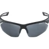 Alpina Nylos HR Bril - black matt/mirror black