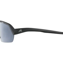 Alpina Turbo HR Bril - black matt/mirror black