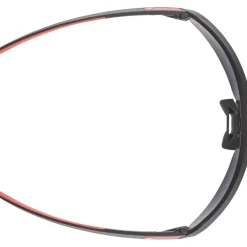 Alpina Turbo Pro Brillen voor kinderen - black matt/mirror red