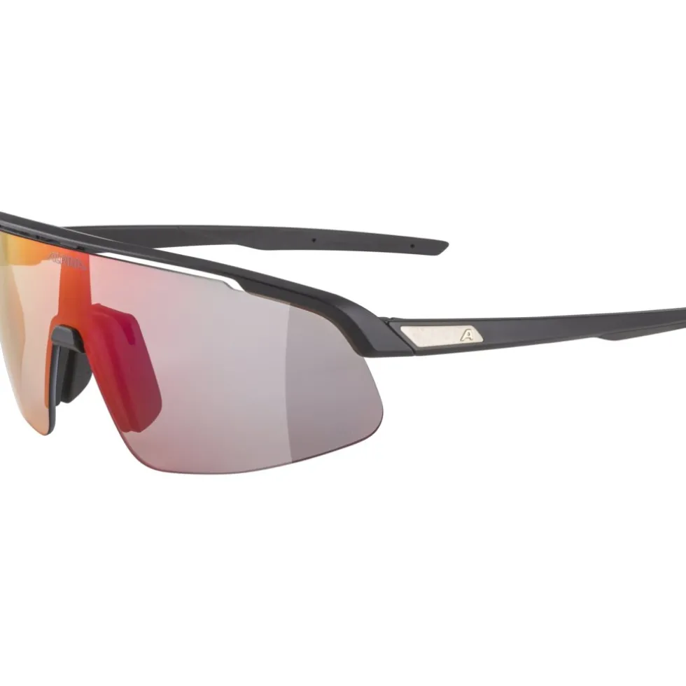 Alpina Turbo Pro S QV Bril - black matt/rainbow mirror