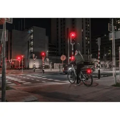 AXA Juno Dynamo Steady Fietslamp Achteraan - 80 mm