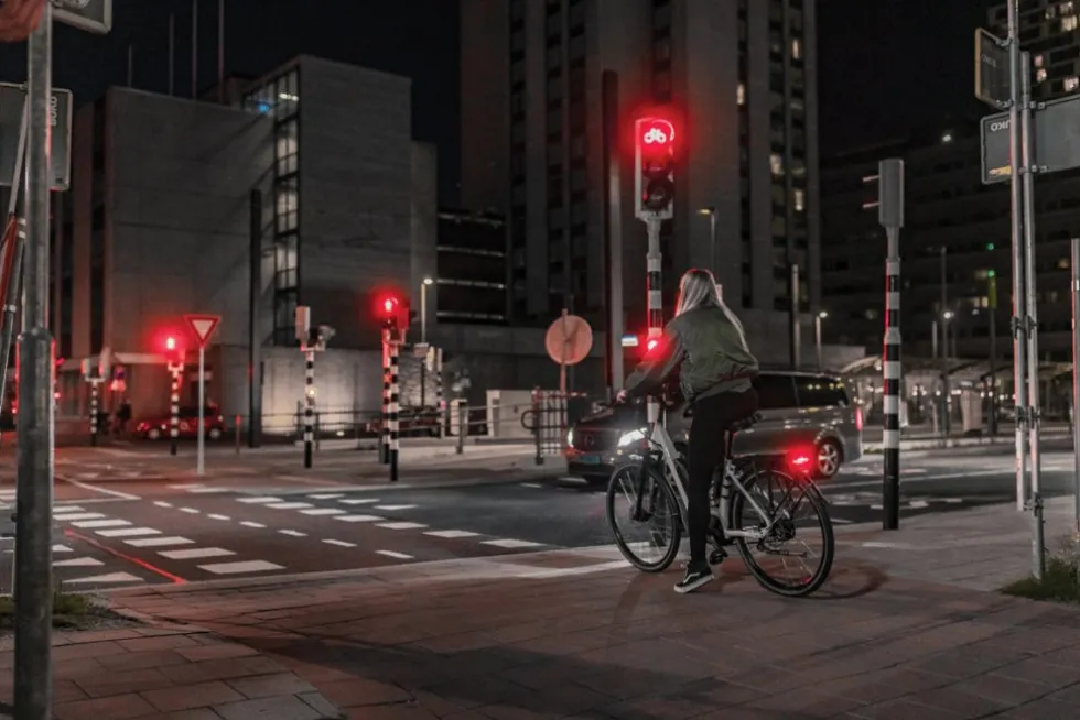AXA Juno 6-12V E-Bike Fietslamp Achter mit Remlicht - 50 mm