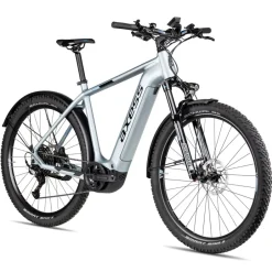 Elektrische Fietsen|Suv E-Bikes < Axess Bikes Axess Force Pro Allroad - 29" E-MTB - 2025 - misty silver matt/black/sky