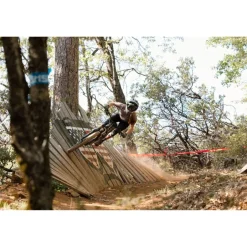 Downhill Helmen < Bell Sanction 2 DX IPS He - bip rootbeer