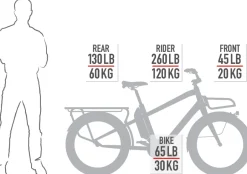 Elektrische Fietsen|Elektrische Bakfietsen < Benno Bikes BOOST EVO 7 CX - 24" Elektrische Bakfiets voor Dames - 2026 - titanium grey