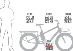 Benno Bikes BOOST EVO 7 CX Family - 24