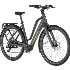 Bergamont E-VITESS ELITE AMSTERDAM - Elektrische Urban-fiets - 2024 - matt rainbow black