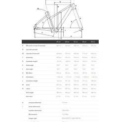 Elektrische Fietsen|Urban E-Bikes < Bergamont E-VITESS EXPERT LADY - Elektrische Urban-fiets - 2023 - shiny cassis red