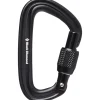 Black Diamond LiteForge Screwgate Carabiner - Black