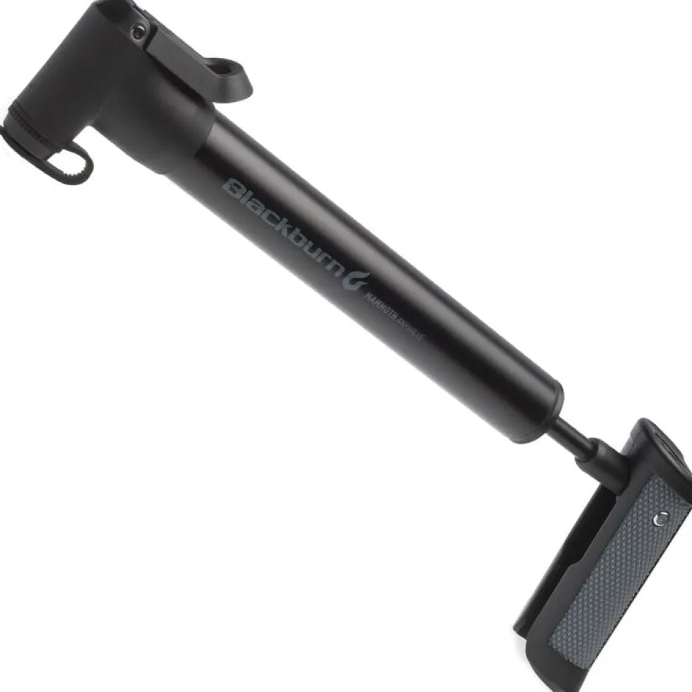 Blackburn Mammoth AnyValve Minipomp - zwart