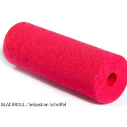 Spierstimulatie & Massage < BLACKROLL MINI Fascia-Rol - colored