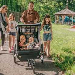 Kinderkarren < Burley Babyzitje