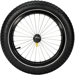 Bagagekarren < Burley 16 Inches Wheel for Coho XC Cargo Trailer - 16x3.0 Plus Tire - zwart