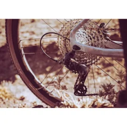 Campagnolo Ekar GT Achterderailleur - 1x13-voudig - zwart