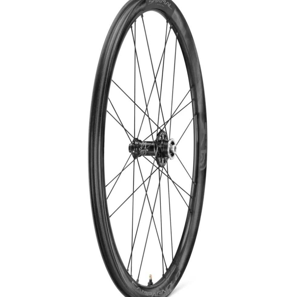 Campagnolo Shamal C21 DB Wielset - 28" | Carbon | 2-Way Fit | AFS - 12x100mm | 12x142mm - N3W