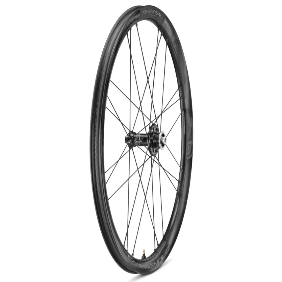 Campagnolo Shamal C21 DB Wielset - 28" | Carbon | 2-Way Fit | AFS - 12x100mm | 12x142mm - XDR