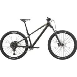 Cannondale HABIT HT 2 - 29