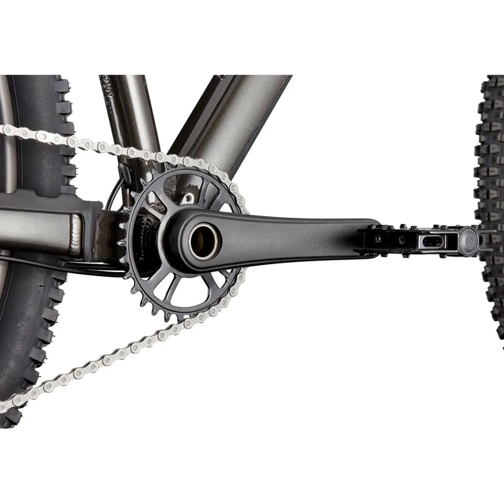 Cannondale HABIT HT 2 - 29" Mountainbike - 2026 - obsidian