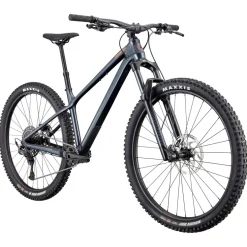 Cannondale HABIT HT 1 - 29" Mountainbike - 2026 - tungsten blue