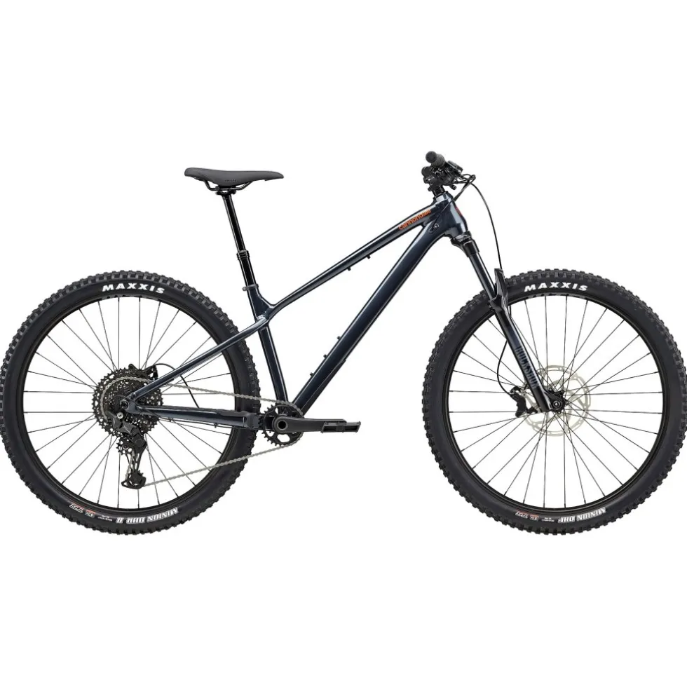 Cannondale HABIT HT 1 - 29" Mountainbike - 2026 - tungsten blue