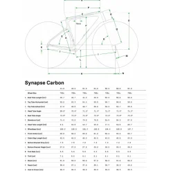 Endurance Racefietsen < Cannondale SYNAPSE CARBON 4 - Racefiets - 2026 - chalk