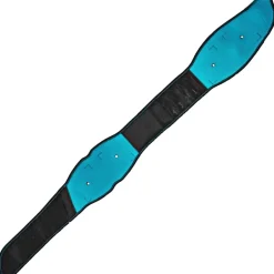Spierstimulatie & Massage < Compex Corebelt 5.0 Muscle Stimulator