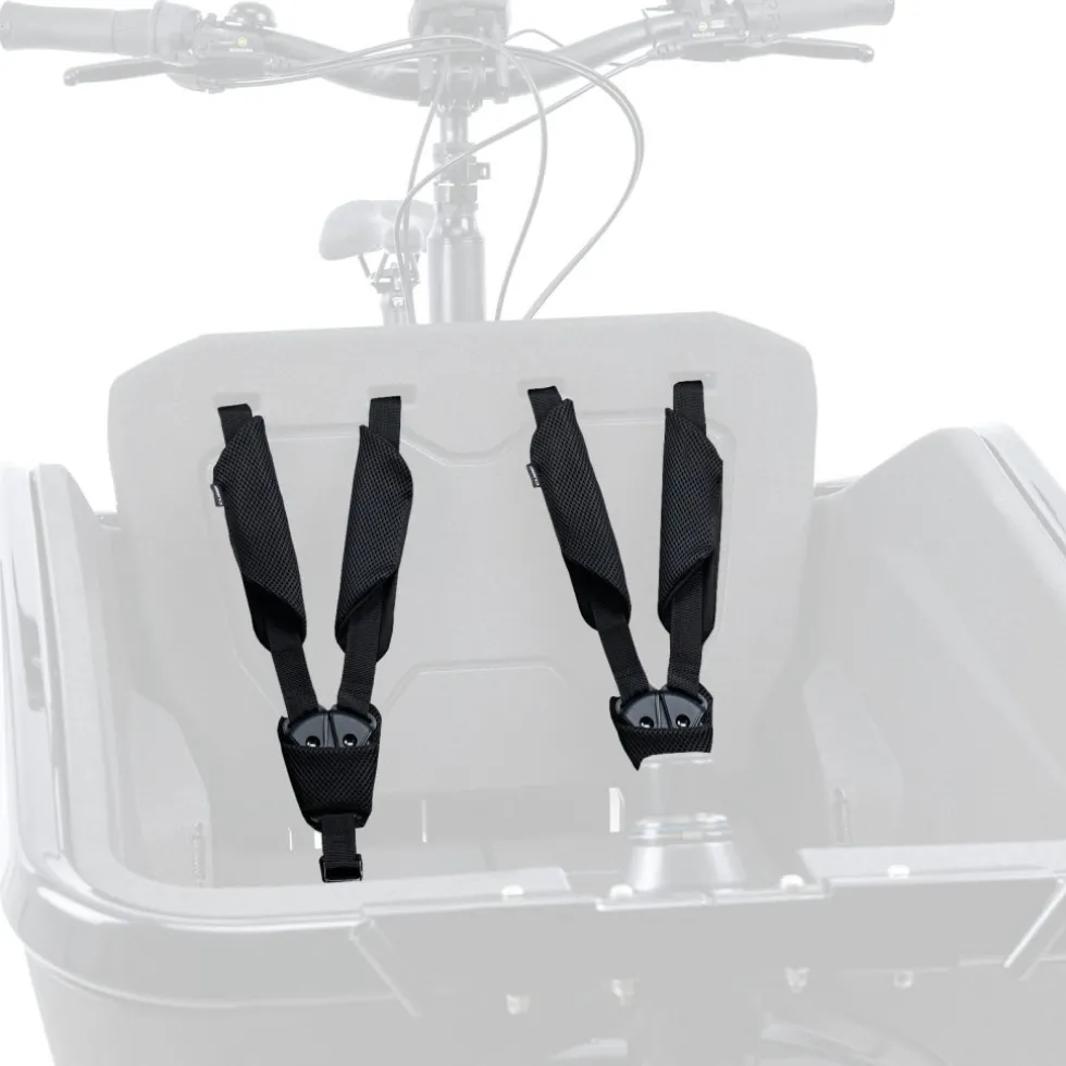 CUBE CARGO Safety Belt - Zwart