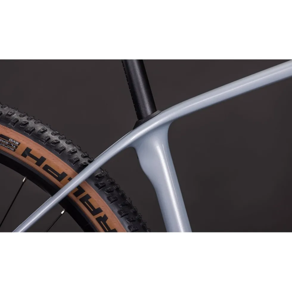 CUBE REACTION C:62 Race - 29" Carbon Mountainbike - 2026 - foggrey / white